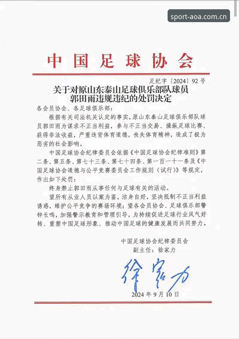 AOA体育功能手机版 足协第三批禁足令深度解读:65人受罚名单与行业净化必备知识